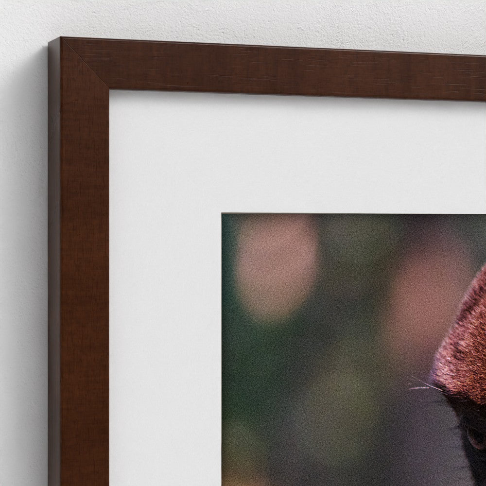 Amber Stillness - Framed