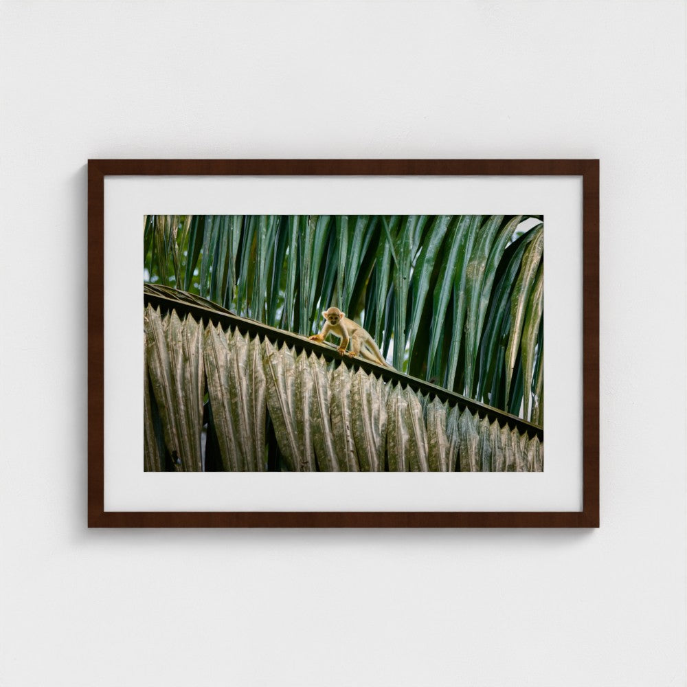 Between the Lines - Framed