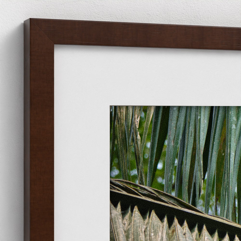 Between the Lines - Framed
