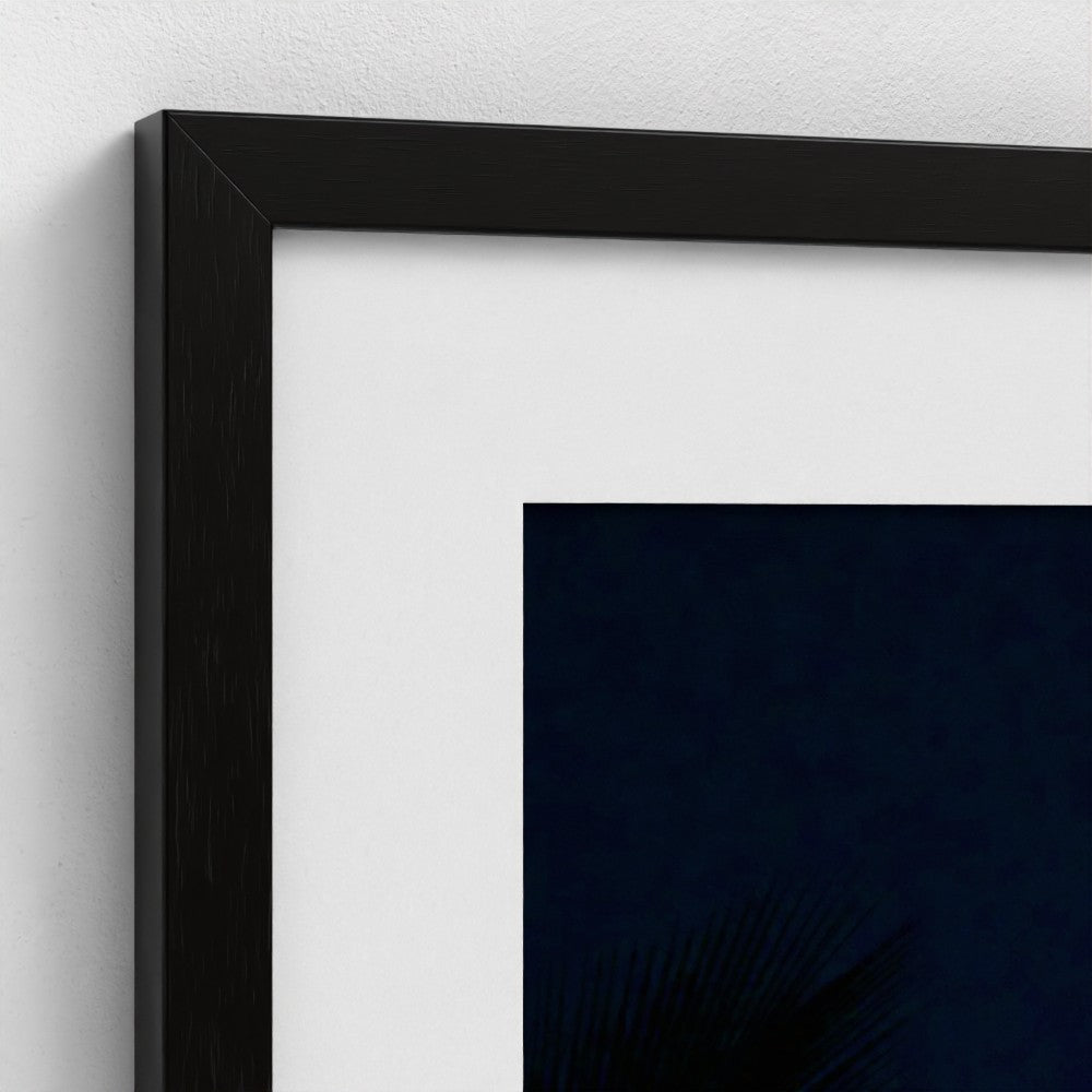 Palm & Moon