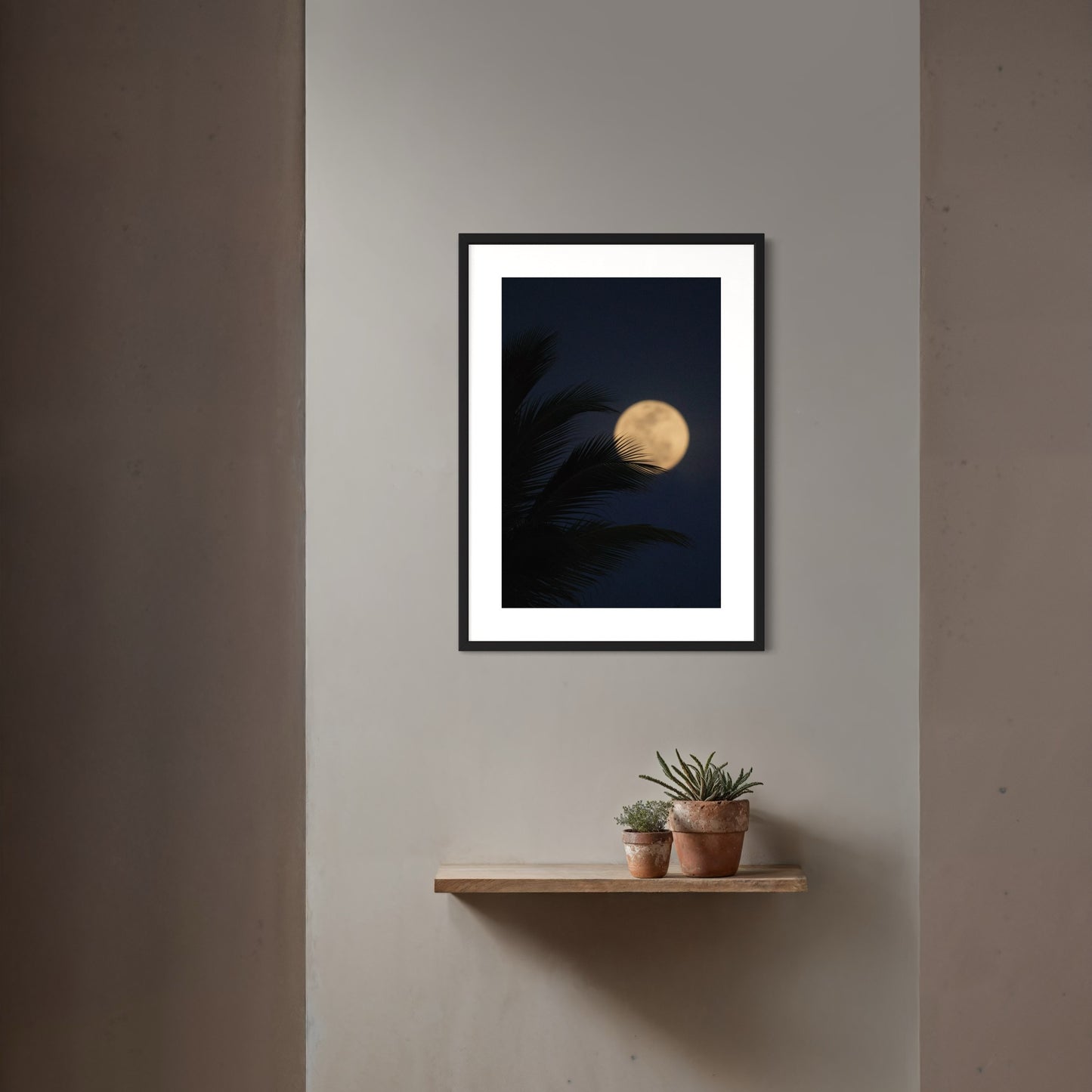 Palm & Moon