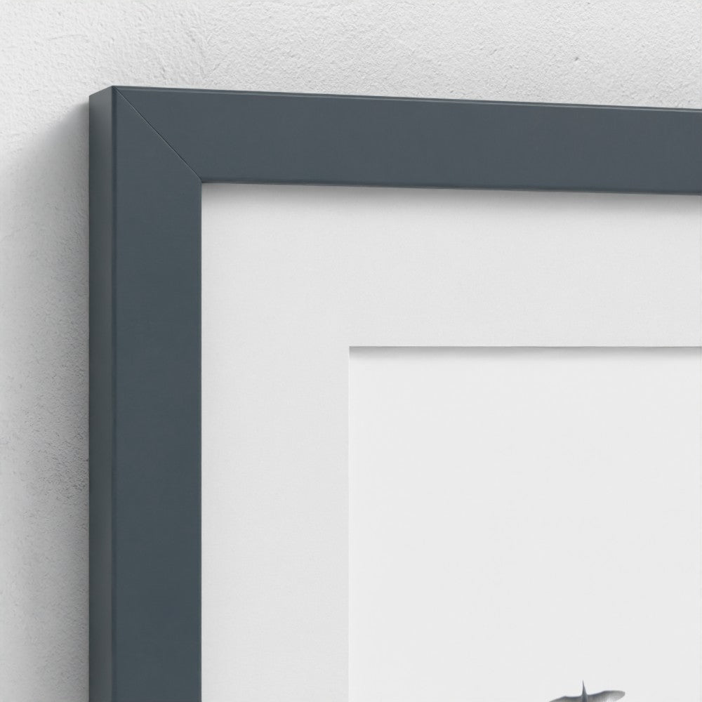 Flight in white - Framed
