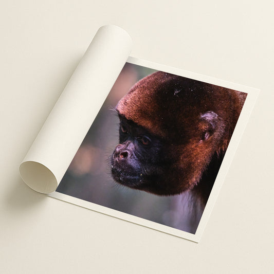Amber Stillness - Printed