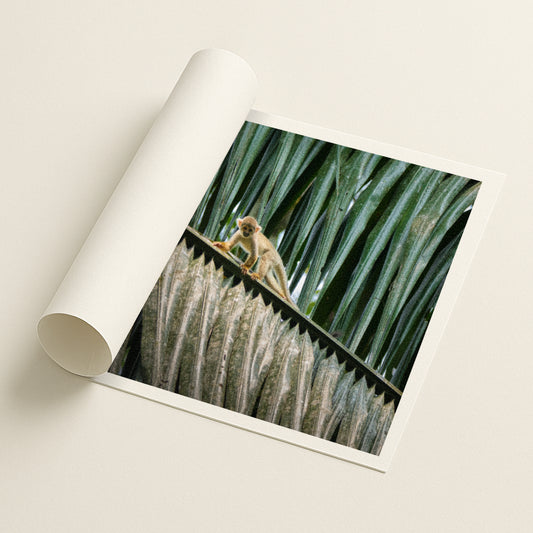 Between the Lines - Printed