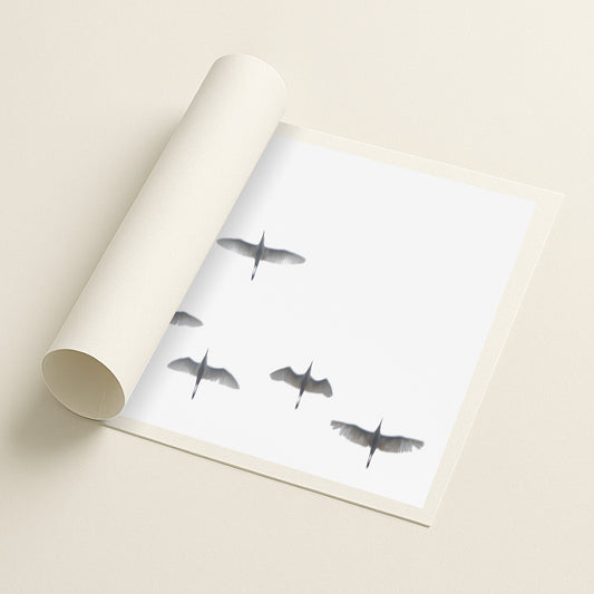 Flight in white - Printed
