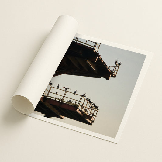 Living Relic - Printed