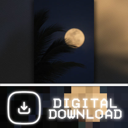 Palm & Moon