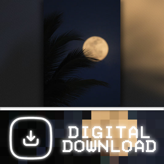 Palm & Moon- Digital