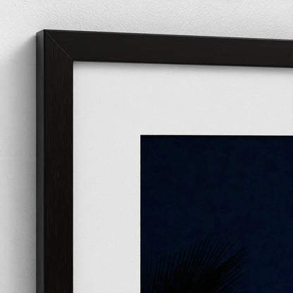 Palm & Moon