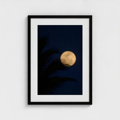 Palm & Moon