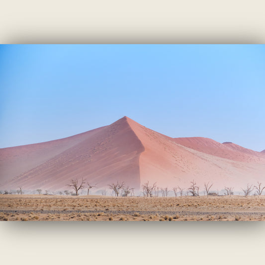 Sandline