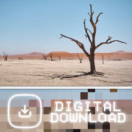 Sossusvlei  - Digital