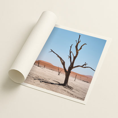 Sossusvlei