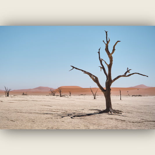Sossusvlei