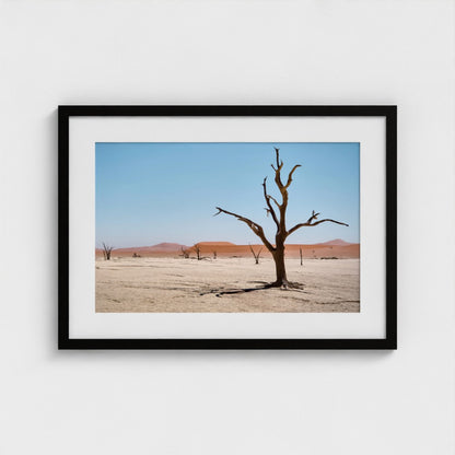 Sossusvlei