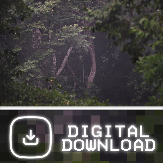 Through the Canopy  - Digital